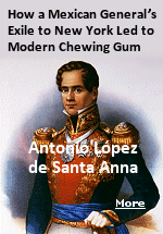 Two years before he died, senile and broke, the disgraced Mexican General Antonio L�pez de Santa Anna lived in a modest residence in Staten Island. Known variously as the executioner of hundreds at The Alamo, the man who lost Texas, and ''His Most Serene Highness'', Santa Anna was missing a leg and had recently been conned out of tens of thousands of pesos. He spent his exile moving among high society, plotting to get rich or return to Mexico, and chewing on something called chicle.